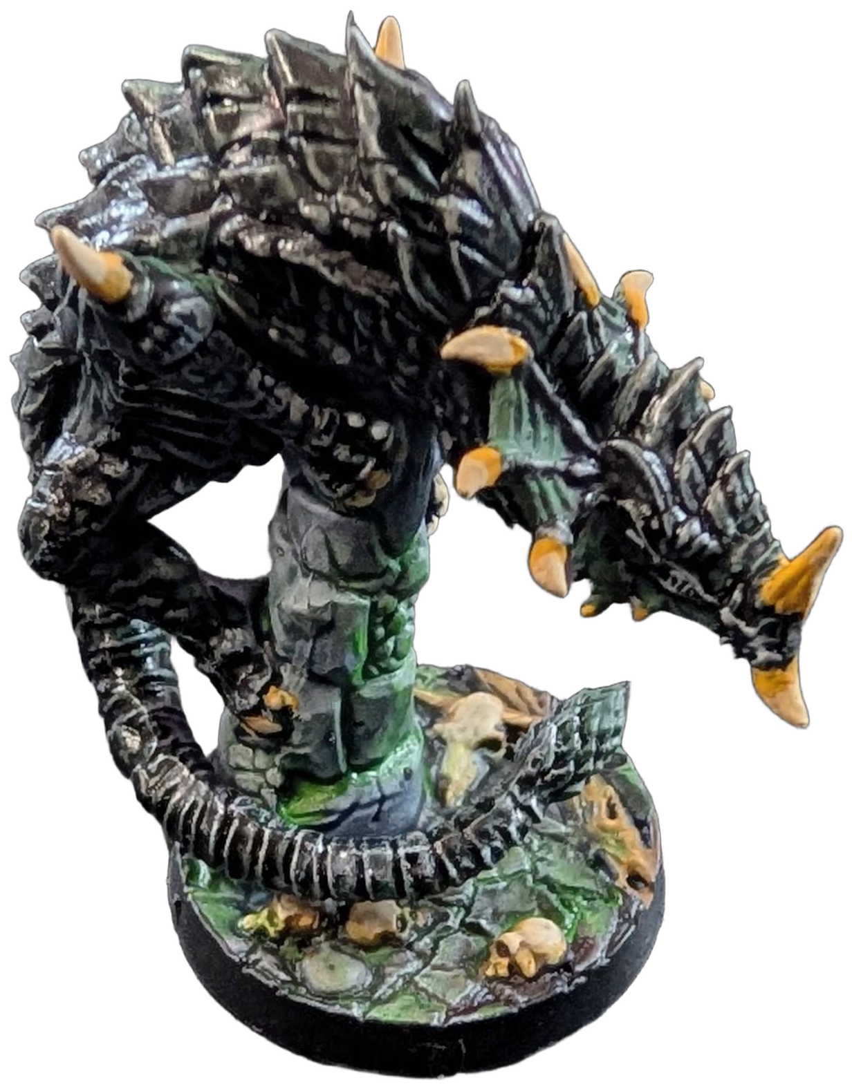 Black Drake
